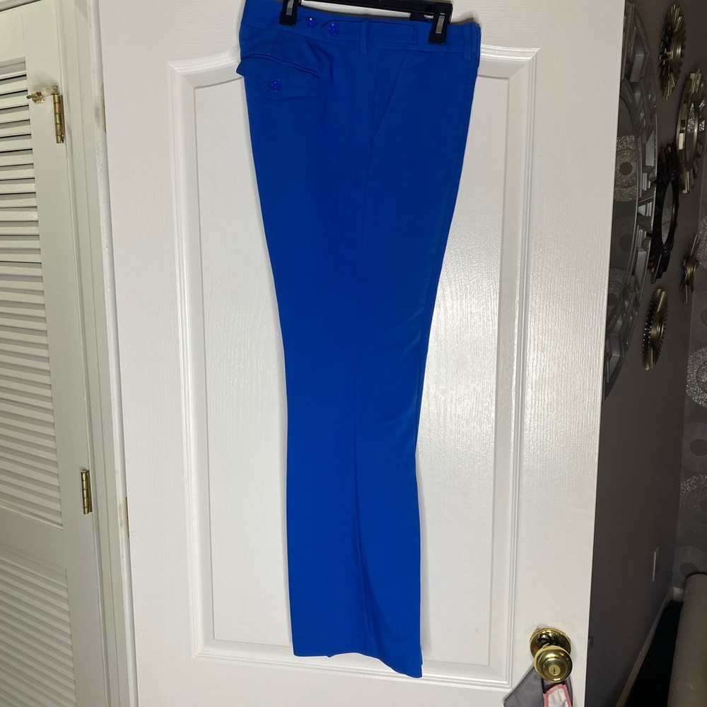 Express columnist dress pant size 10R